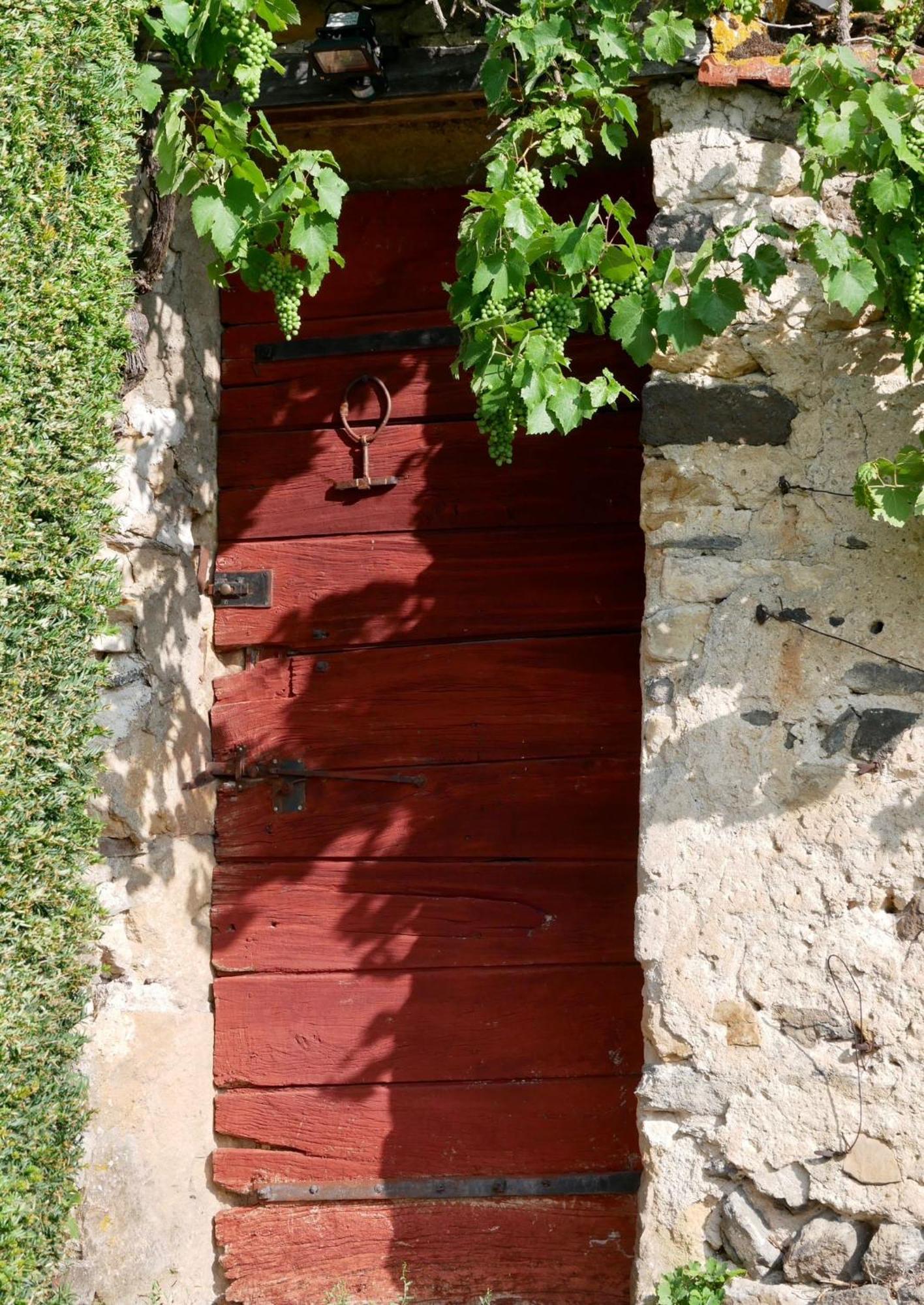 Chateau De Perpezat Apchat Exteriör bild
